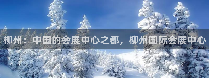 果博公司联系电话：柳州：中国的会展中心之