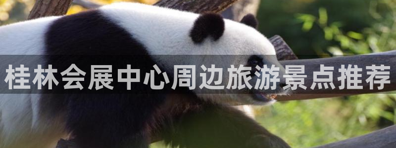 果博平台真实吗：桂林会展中心周边旅游景点推荐