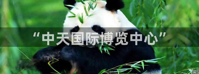 果博注册会员怎么注销：“中天国际博览中心