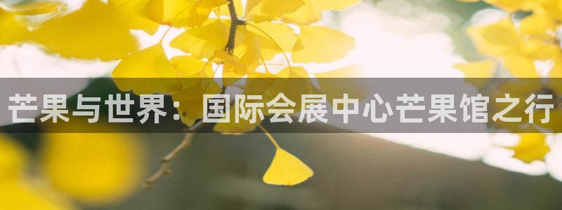 果博平台真实吗知乎