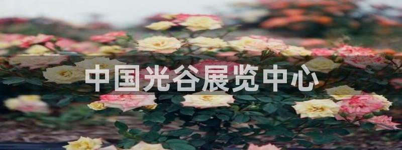 果博公司客服电话多少：中国光谷展览中心