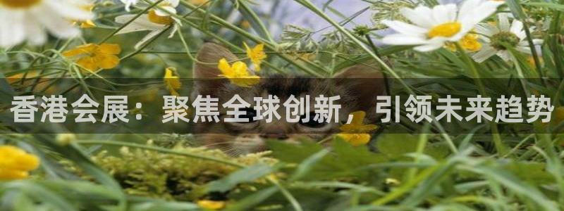 果博公司客服联系方式：香港会展：聚焦全球创新，引领未来趋势