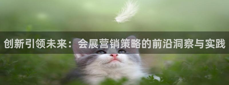 果博电话：创新引领未来：会展营销策略的前