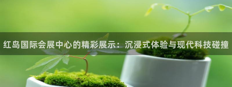 果博平台真实吗知乎：红岛国际会展中心的精