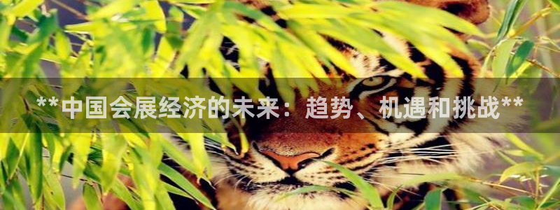 果博公司会员注册账号开户：**中国会展经济的未来：趋势、机遇和挑战**