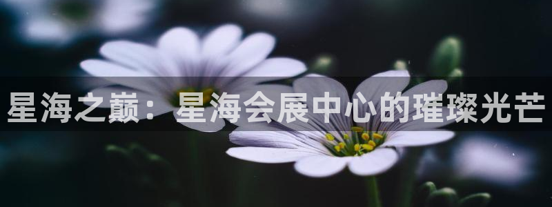 果博平台开户电话号码：星海之巅：星海会展