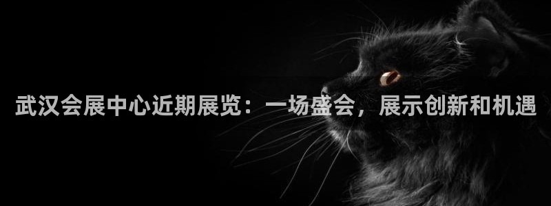 果博平台真实吗安全吗可信吗是真的吗：武汉