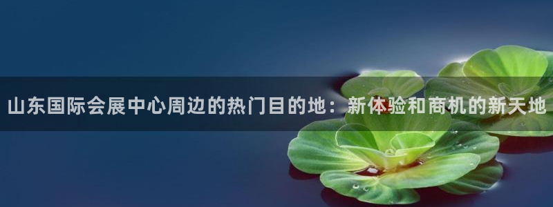 果搏代理：山东国际会展中心周边的热门目的