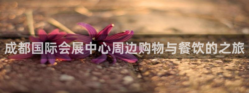 果博公司开户注册：成都国际会展中心周边购物与餐饮的之旅