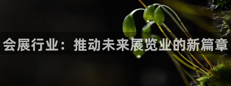 果博官网：会展行业：推动未来展览业的新篇