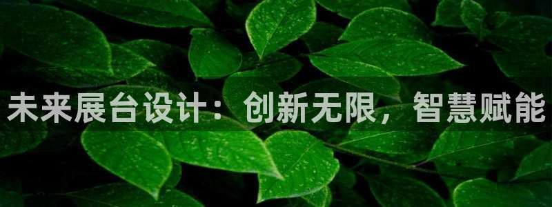 果博公司会员开户：未来展台设计：创新无限，智慧赋能