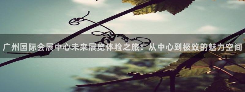 果博平台真实吗知乎：广州国际会展中心未来