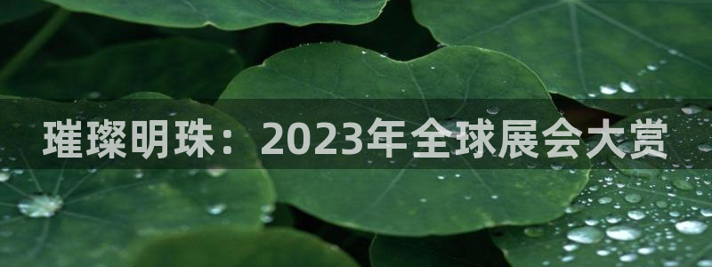 果博公司客服微信号是多少：璀璨明珠：20