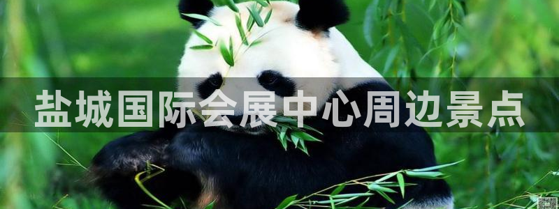 果博公司会员怎么开户：盐城国际会展中心周