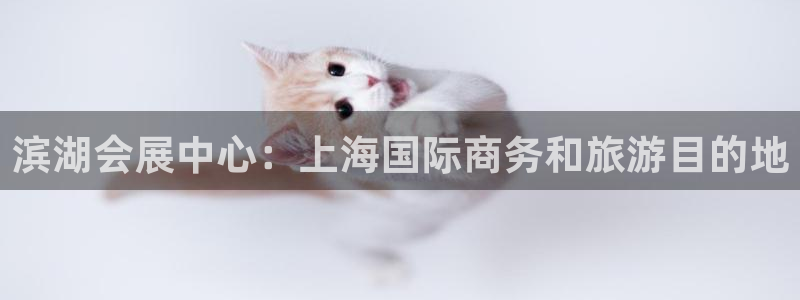 果博公司客服微信：滨湖会展中心：上海国际