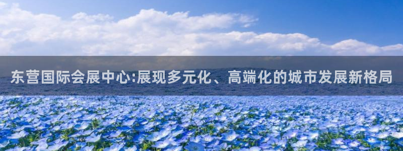 果博注册平台怎么注册不了：东营国际会展中