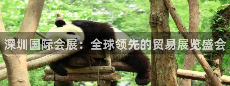 果博注册客服电话是多少号：深圳国际会展：全球领先的