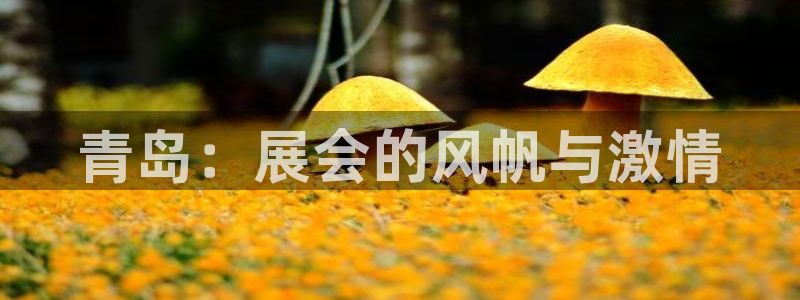 果博官方：青岛：展会的风帆与激情